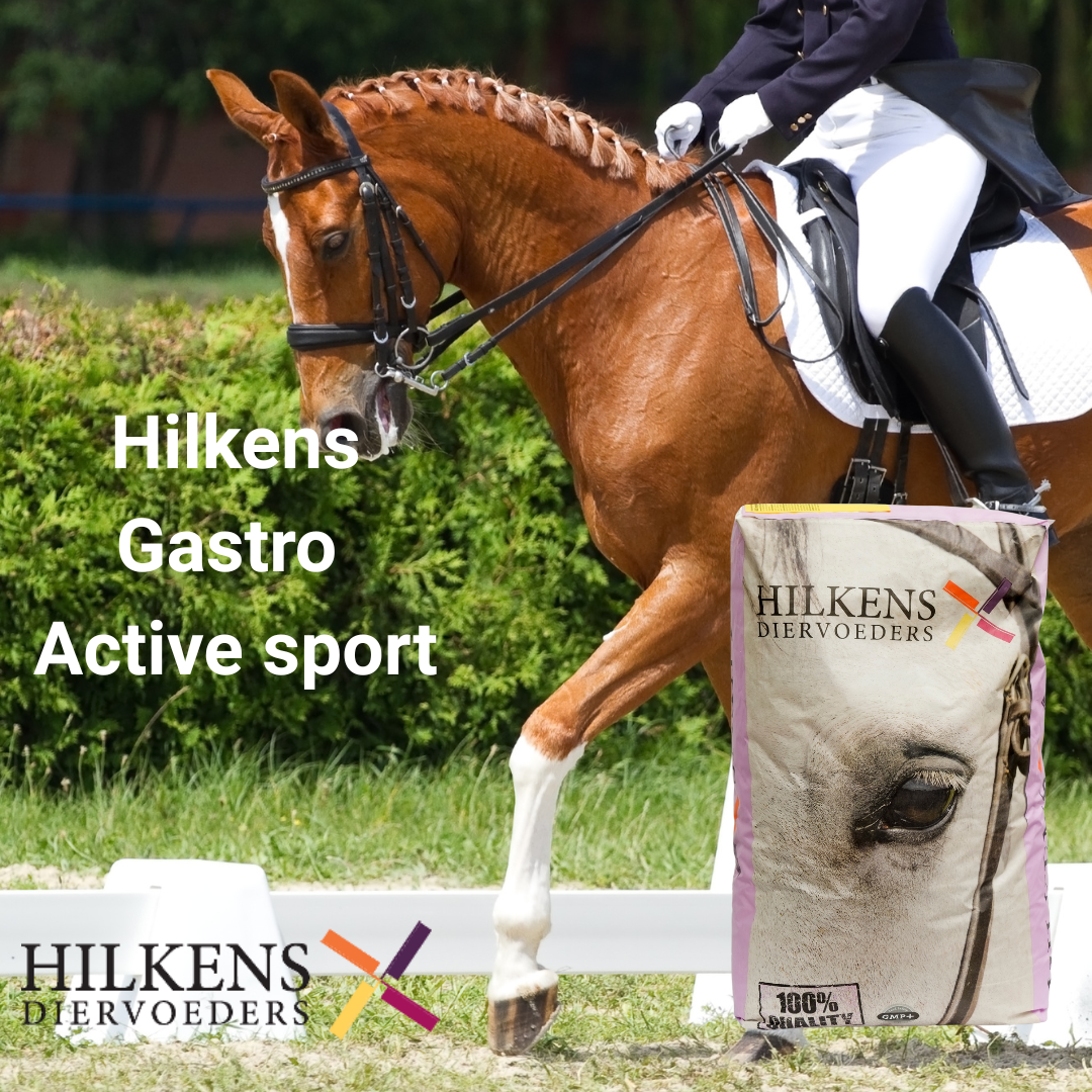 Gastro active-sport