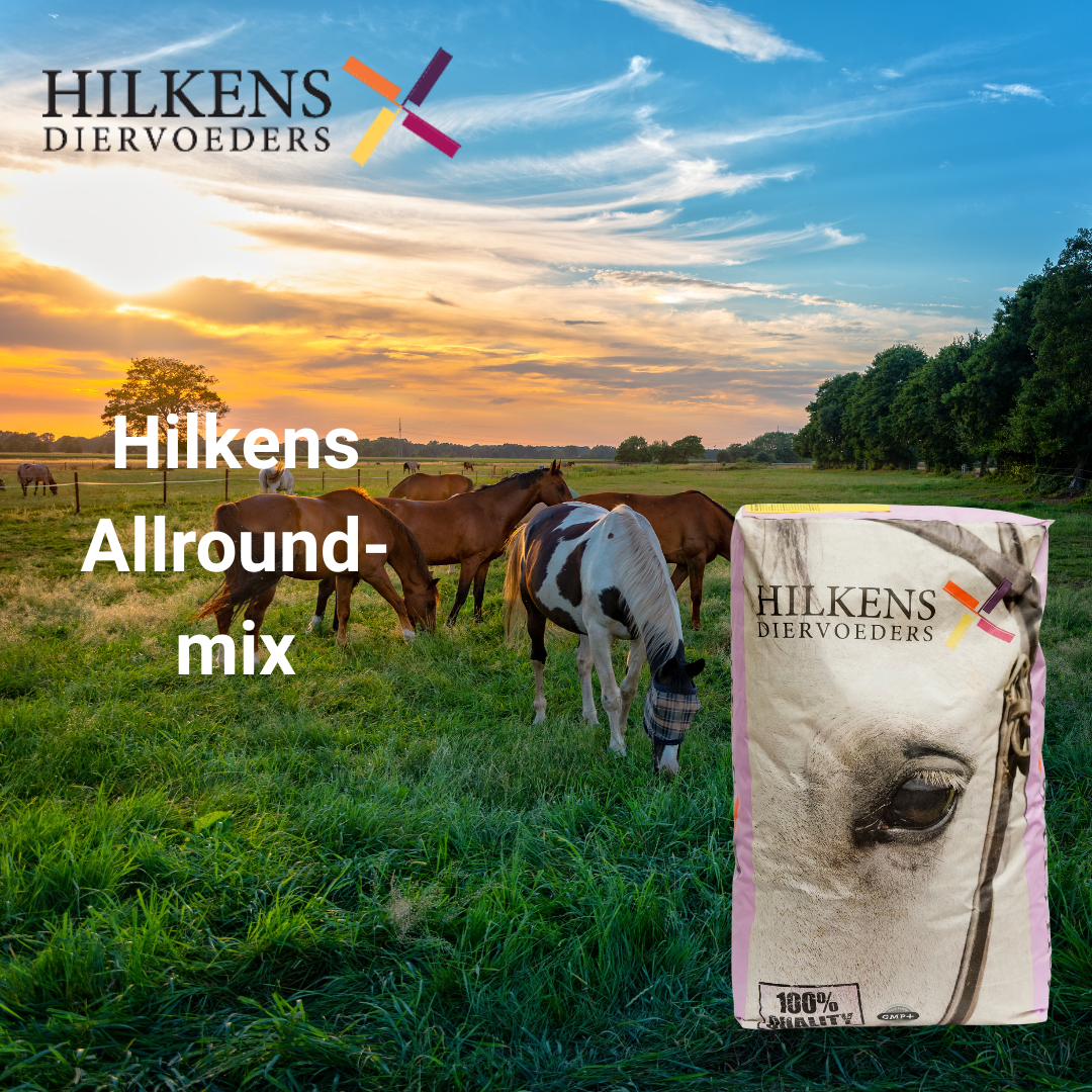 Allround-mix