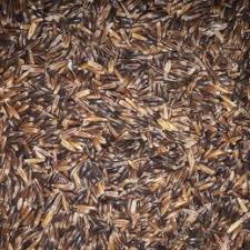 Haver zwart/geel heel 25 kg