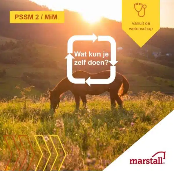 Hoe behandel je paarden met PSSM 2