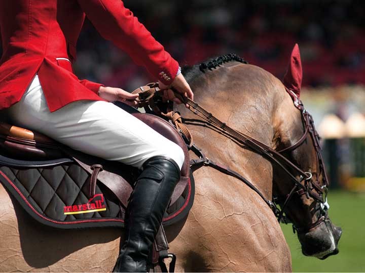 Voeding voor optimale prestaties, het juiste voer voor sportpaarden