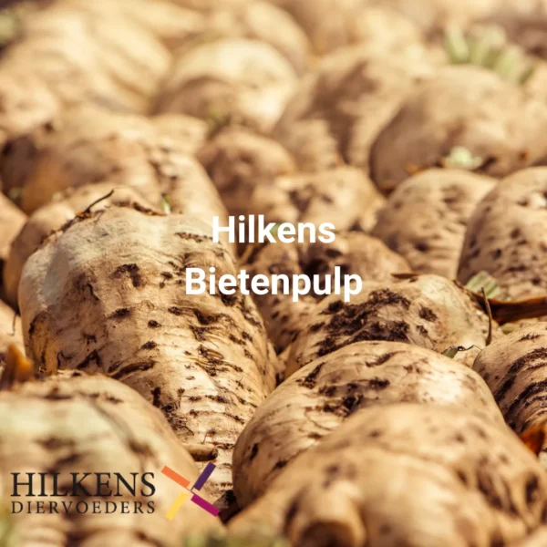 Hilkens Bietenpulp 25 kilo