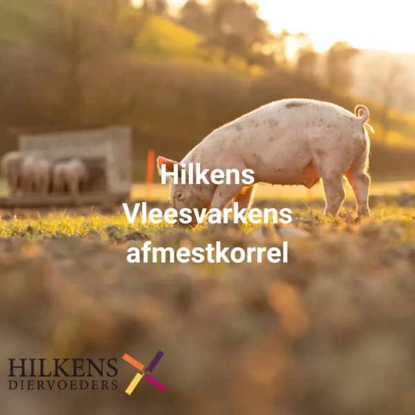 Vleesvarkens afmestkorrel 20 Kg