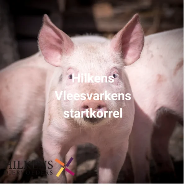 Vleesvarkens startkorrel 20 Kg