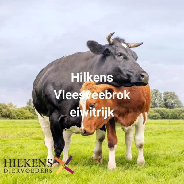 Vleesveebrok eiwitrijk
