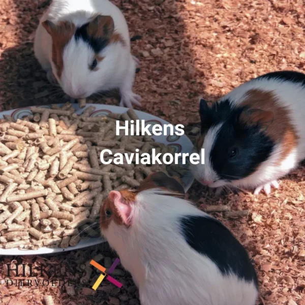 Hilkens caviakorrel 20 kg