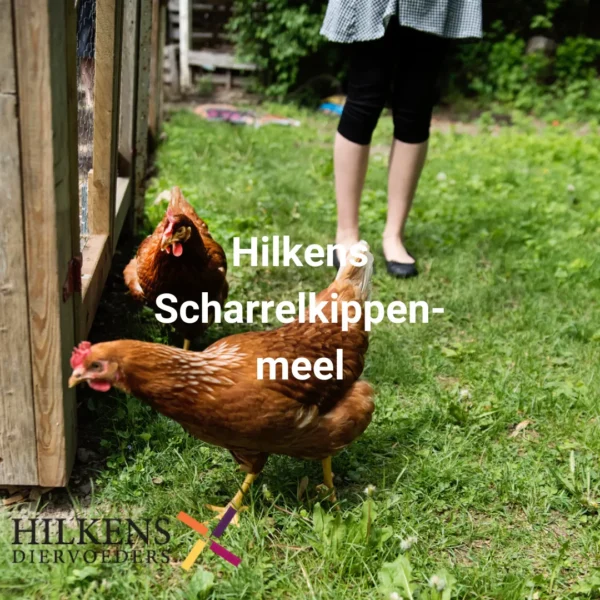 Scharrelkippenmeel