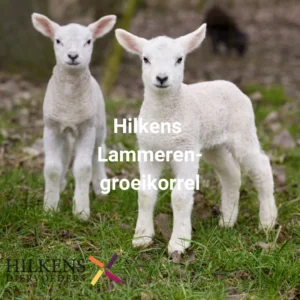 Hilkens lammerengroeikorrel 20 kg