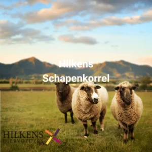 Hilkens schapenkorrel 20 kg