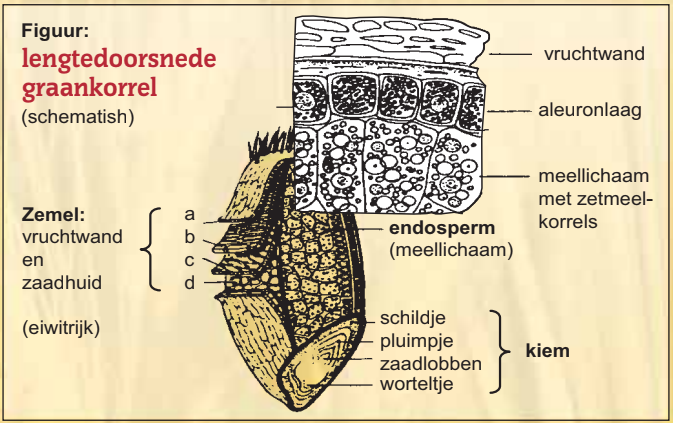 Hydrotermisch ontsluiten? Wat is dat?