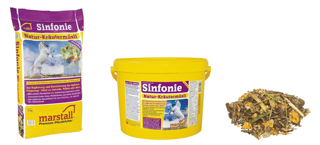 Luchtwegproblemen bij paarden