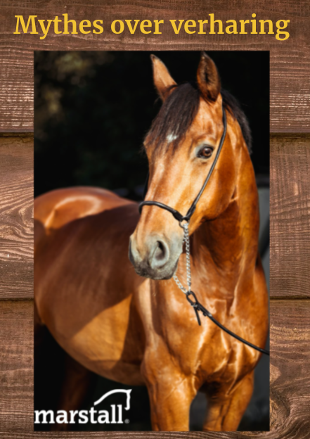 Mythes over verharing