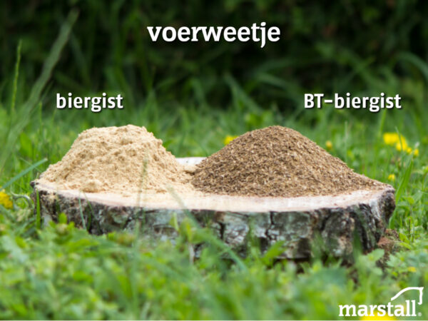 Biergist en BT-biergist