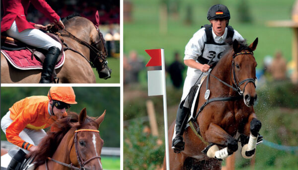 Alleen hooi voeren is niet altijd voldoende