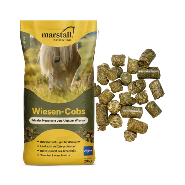 Marstall Wiesen-Cobs uit de Allgäu